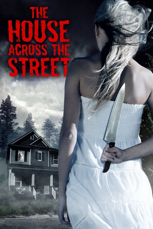 Movie poster for The House Across the Street (2013)