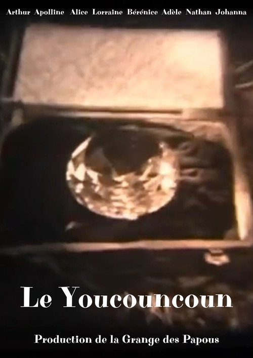 Movie poster for Le youcouncoun (2012)