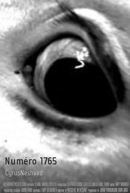 Movie poster for Numéro 1765 (2009)