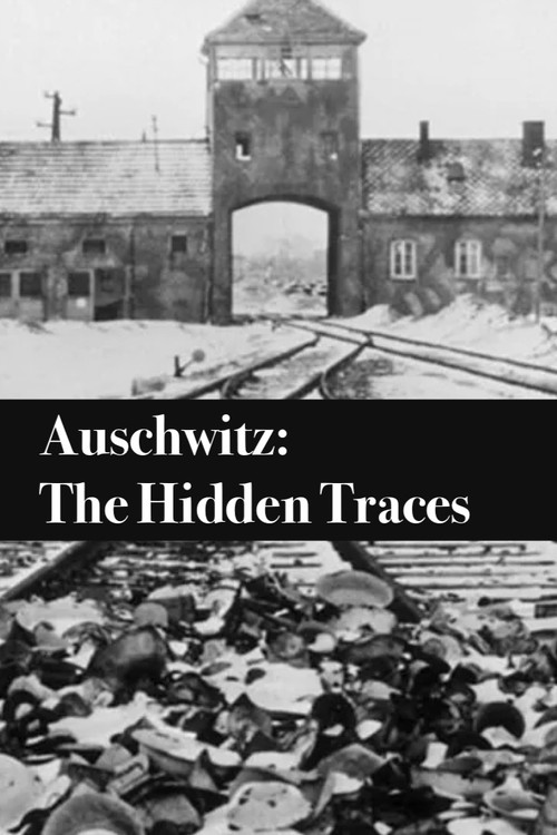 Movie poster for Auschwitz: The Hidden Traces (2022)