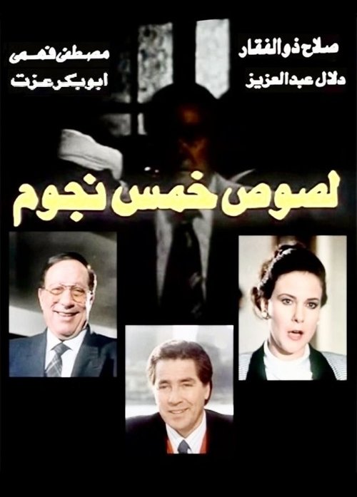 Movie poster for Five star thieves (1994)