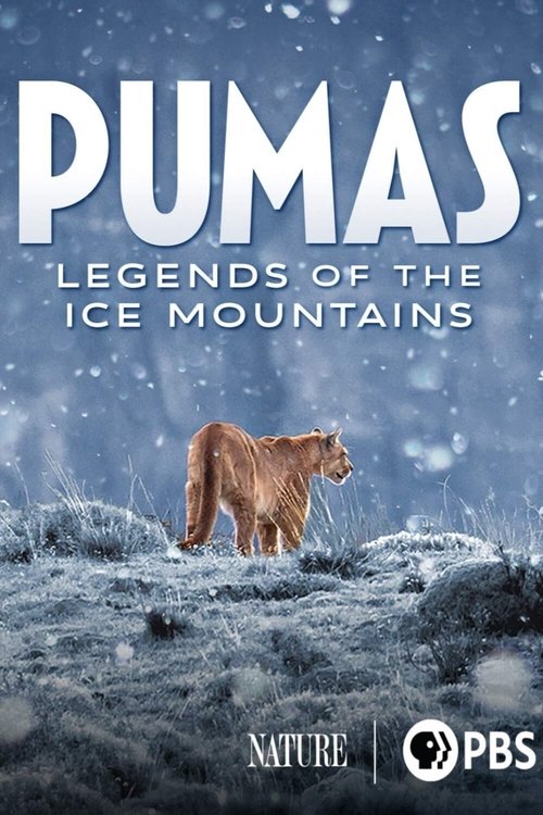 Movie poster for Pumas: Legends of the Ice Mountains (2021)