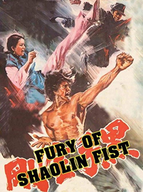 Movie poster for Fury of Shaolin Fist (1978)