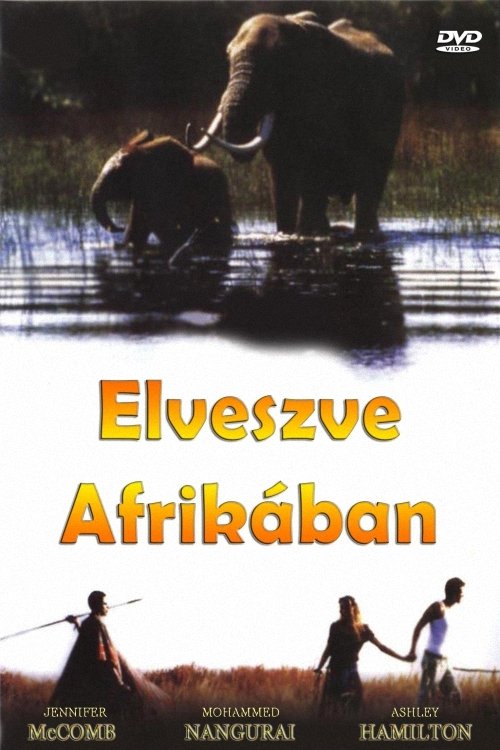 Movie poster for Lost in Africa (1994)