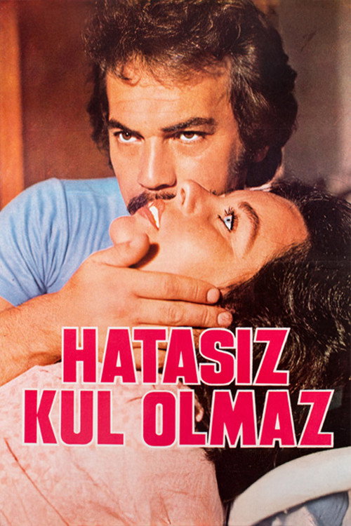 Movie poster for Hatasız Kul Olmaz (1977)