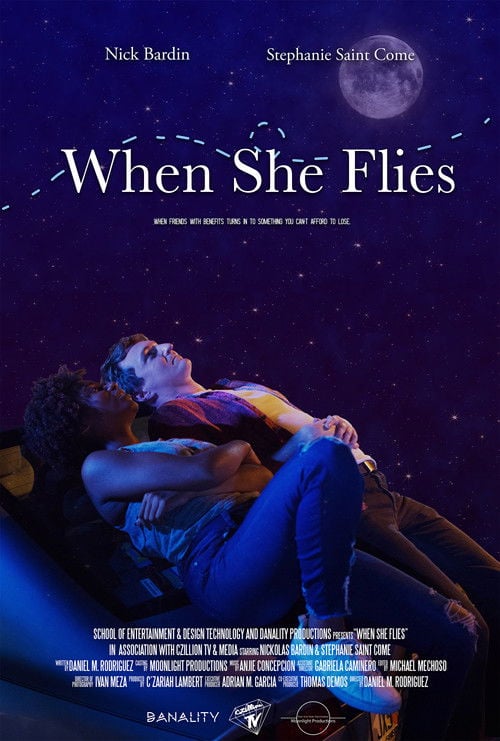 Movie poster for When She Flies