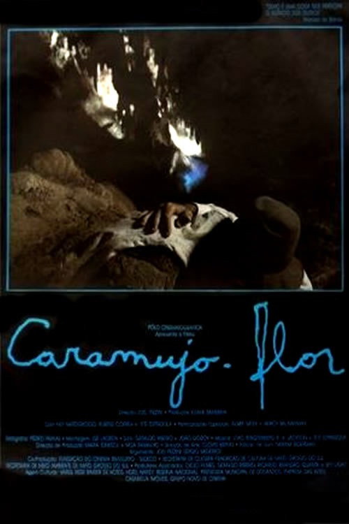 Movie poster for Caramujo-Flor (1988)