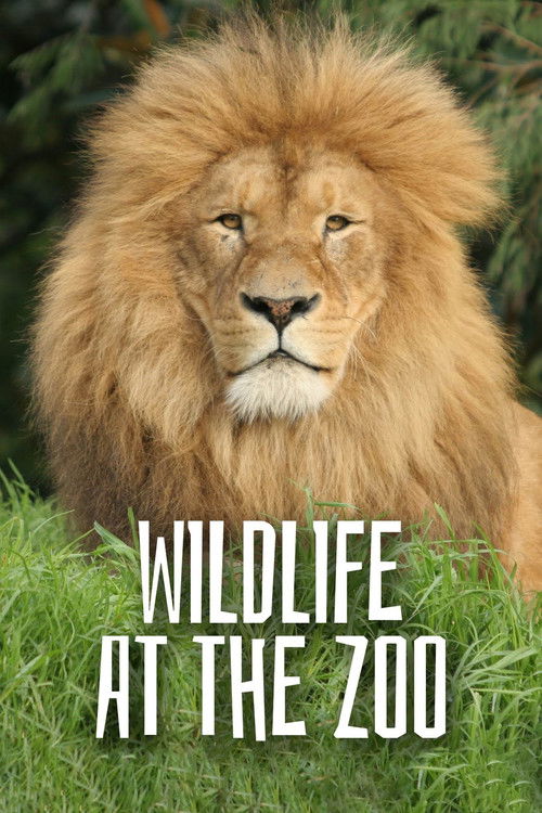 Wild Life At The Zoo poster