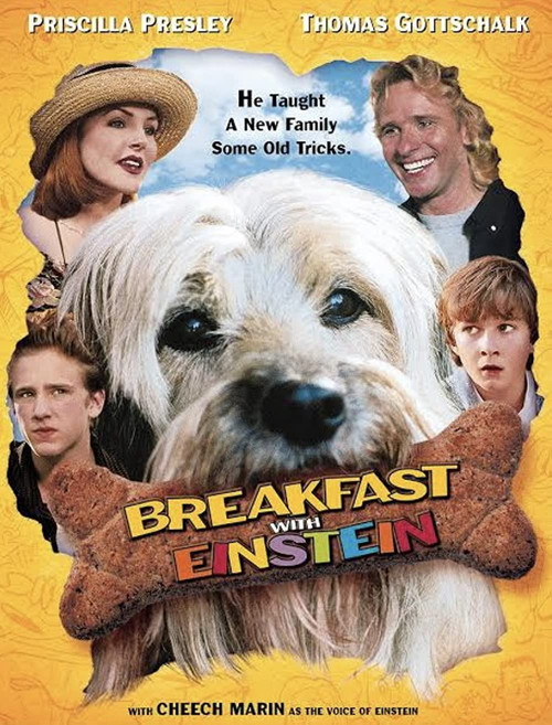 Movie poster for Breakfast with Einstein (1998)