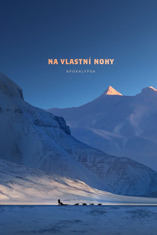 Na vlastní nohy poster