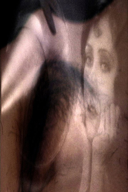 Movie poster for Elsa merdelamerdelamer (2013)