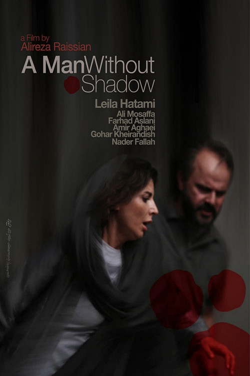 Movie poster for A Man without a Shadow (2019)