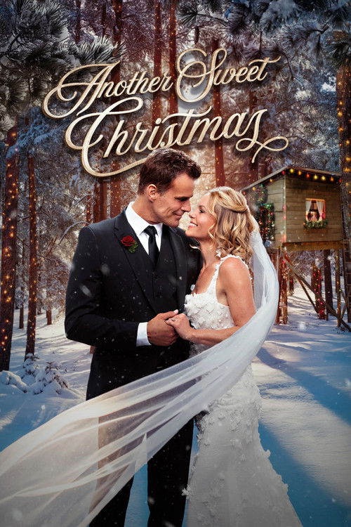 Movie poster for Another Sweet Christmas (2025)