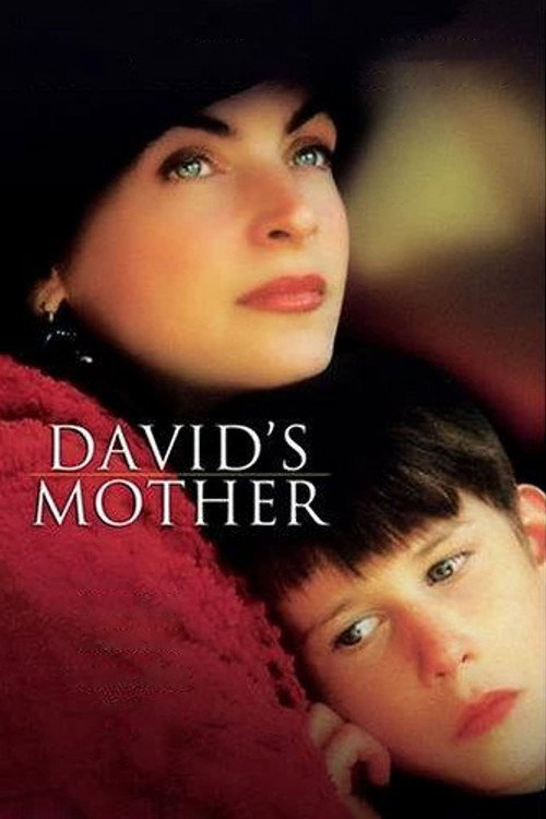 Movie poster for David's Mother (1994)