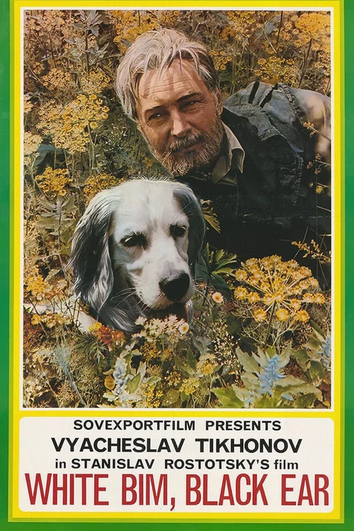 Movie poster for White Bim Black Ear (1977)