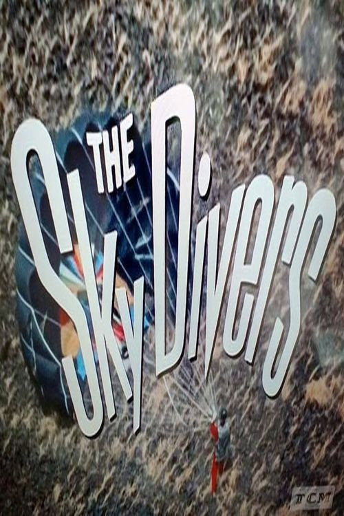 Movie poster for The Sky Divers (1969)