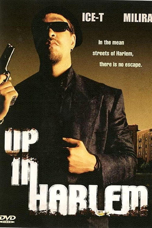 Movie poster for Up in Harlem (2004)