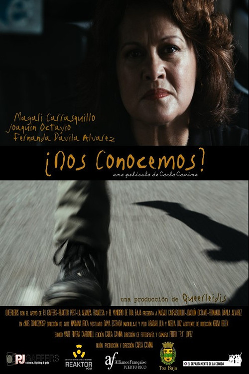 Movie poster for ¿Nos conocemos? (2014)