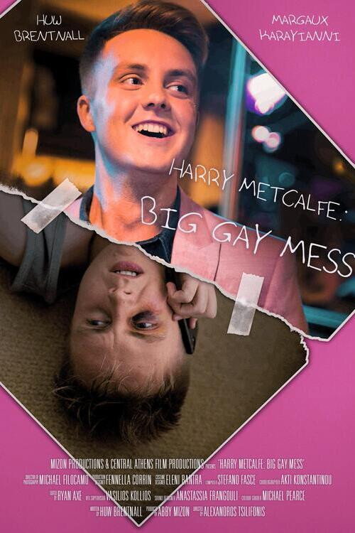 Movie poster for Harry Metcalfe: Big Gay Mess (2019)