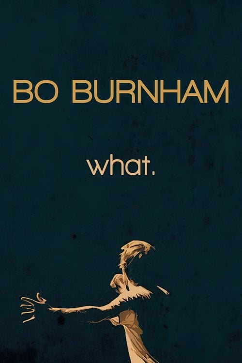 Movie poster for Bo Burnham: What. (2013)