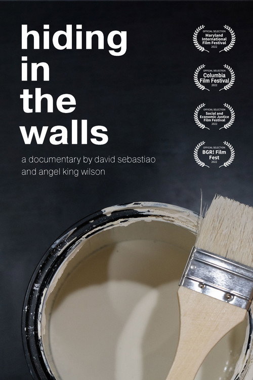 Movie poster for Hiding in the Walls (2022)