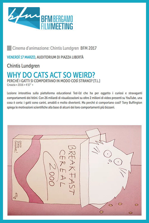 Movie poster for Why Do Cats Act So Weird? (2016)