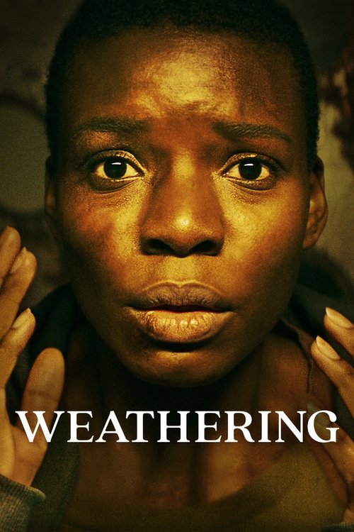 Movie poster for Weathering (2023)