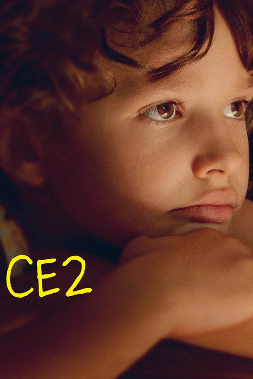 Movie poster for Third Grade (2021)