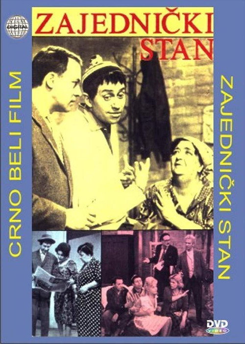 Movie poster for Shared Apartment (1960)