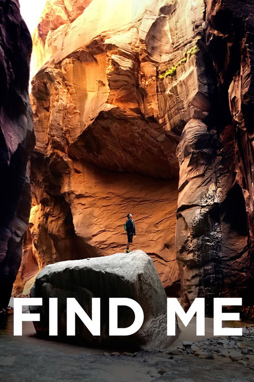 Movie poster for Find Me (2018)