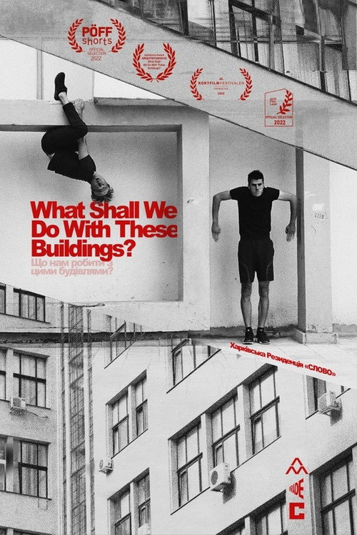 Movie poster for What Shall We Do With These Buildings? (2022)