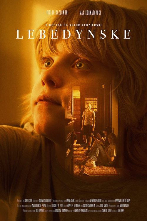 Movie poster for Lebedynske (2026)
