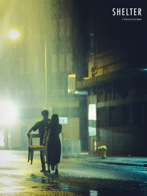 Movie poster for Shelter (2020)