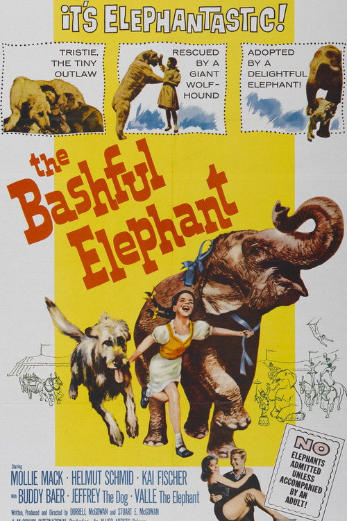 Movie poster for The Bashful Elephant (1962)