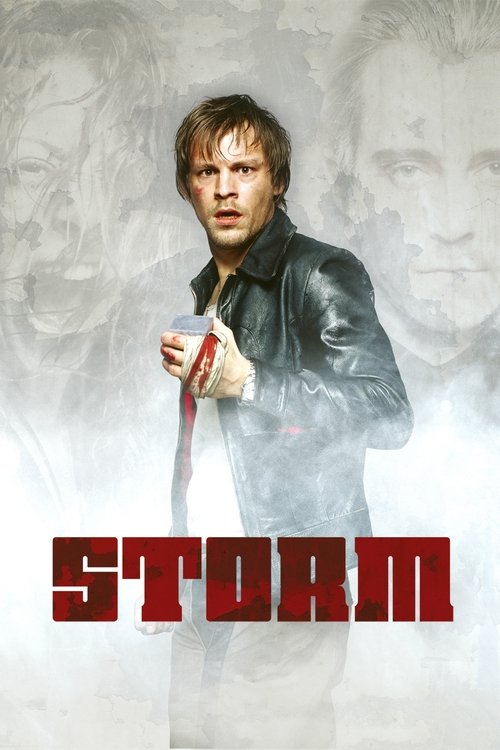 Movie poster for Storm (2005)