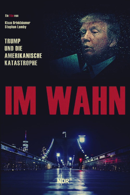 Movie poster for In Delusion: Trump and the American Catastrophe (2020)