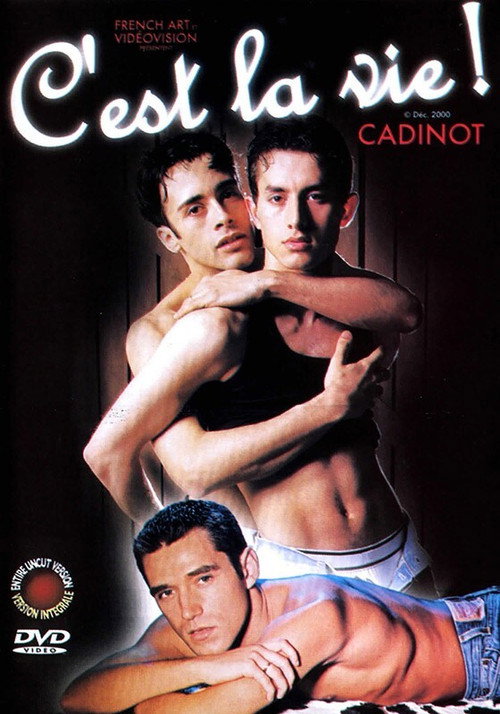 Movie poster for C'est la vie (2000)