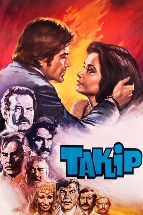 Movie poster for Takip (1981)