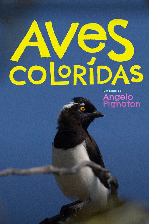 Movie poster for Colored Birds (2023)