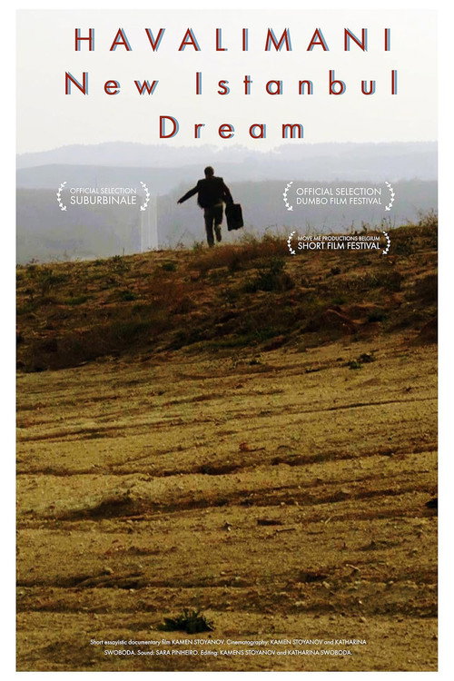 New Istanbul Dream poster