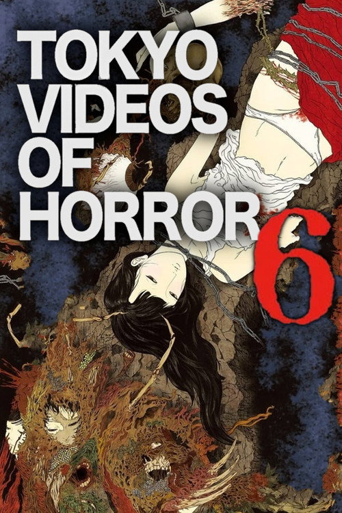 Movie poster for Tokyo Videos of Horror 6 (2013)