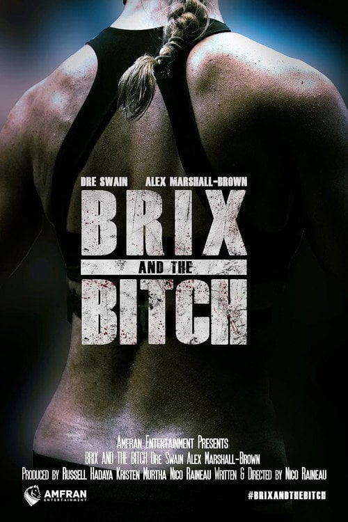 Movie poster for Brix and the Bitch (2016)