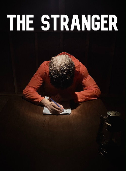 Movie poster for The Stranger (2023)