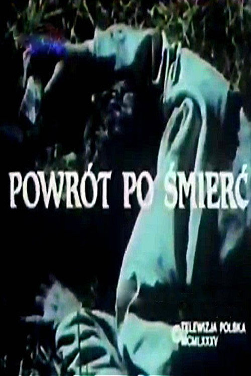 Movie poster for Powrót po śmierć (1987)