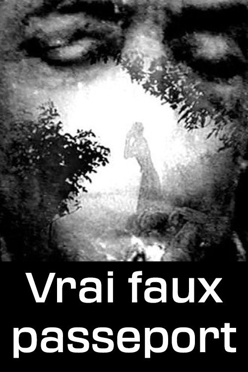 Movie poster for Vrai faux passeport (2006)