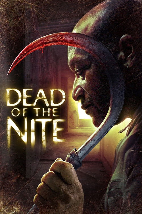 Movie poster for Dead of the Nite (2013)