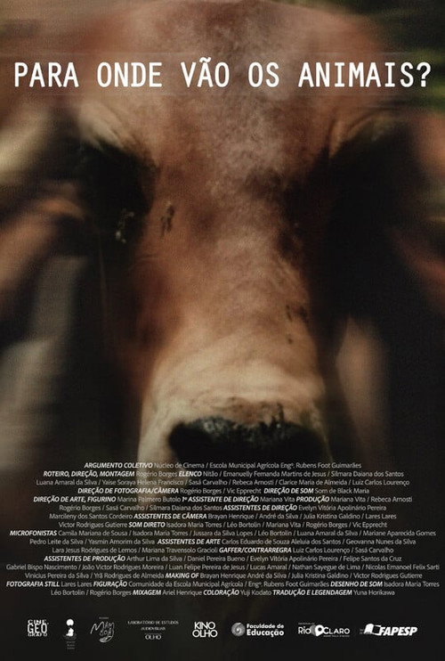 Movie poster for Para Onde Vão Os Animais (2024)