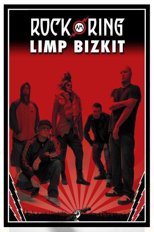 Movie poster for Limp Bizkit - Live at Rock am Ring (2013)