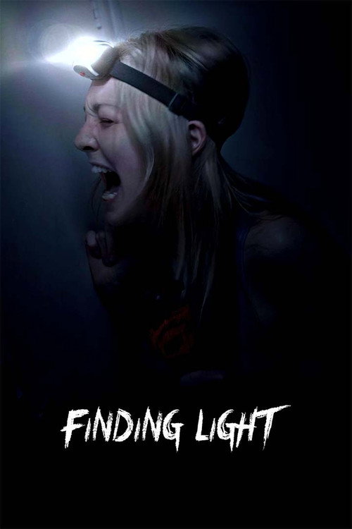 Movie poster for Finding Light (2024)