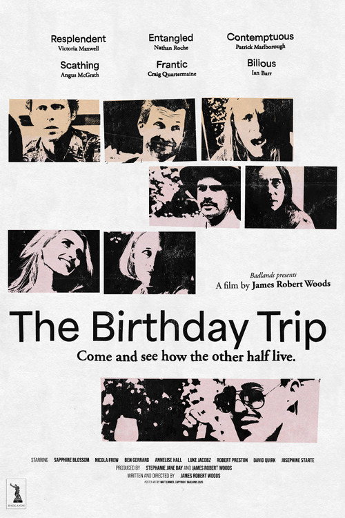 Movie poster for The Birthday Trip (2026)